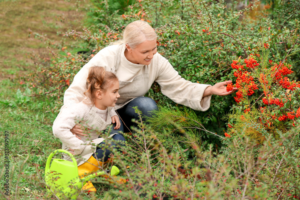 custom made wallpaper toronto digitalCute little girl with grandmother working in garden