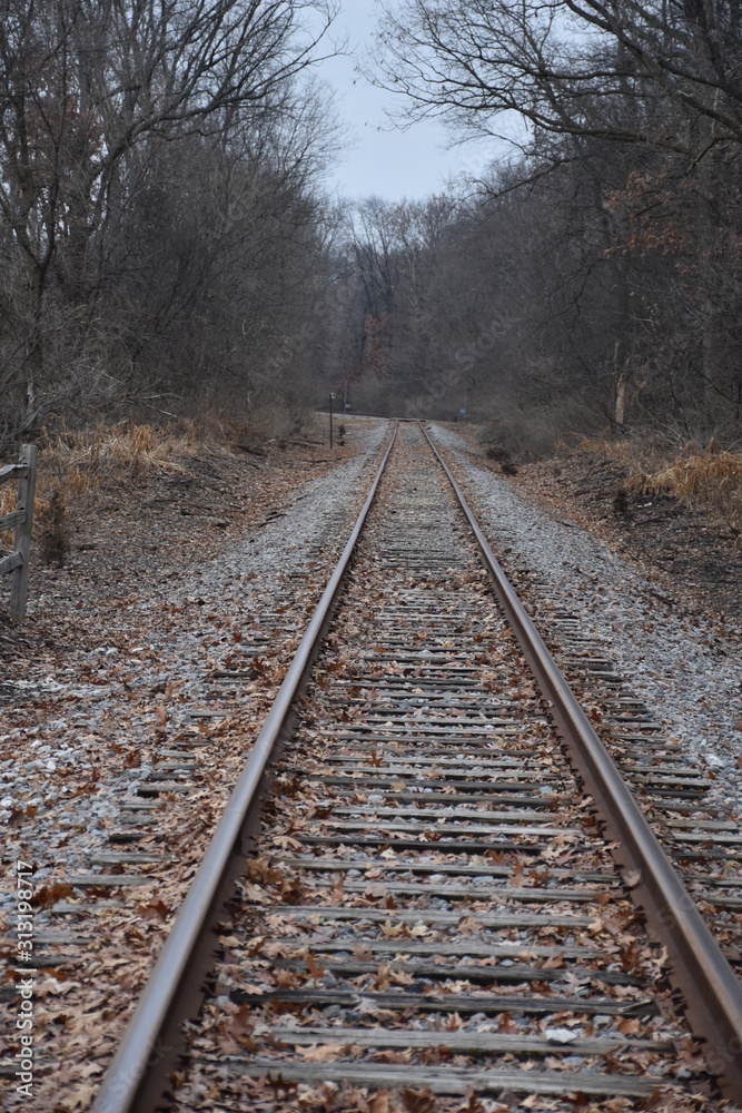 Railroad Track