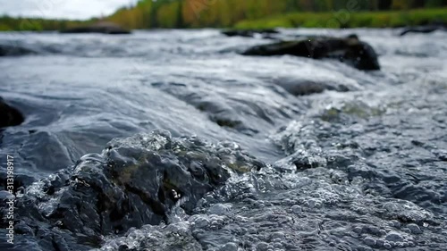 Mountain river water flowing close up with autumn forest at background