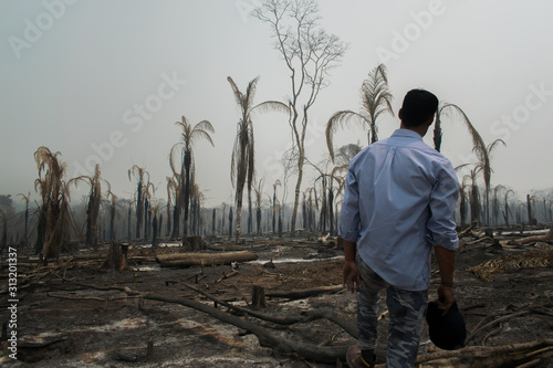 Bombero forestal observando el bosque quemado en la Amazonía Boliviana photo