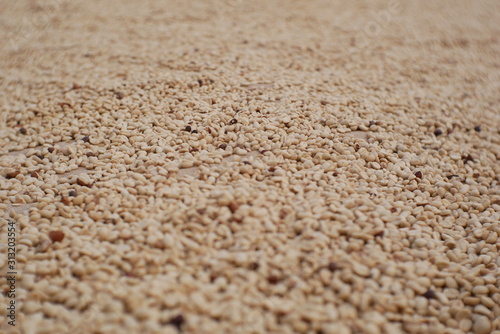 organic dried coffee seed blur background