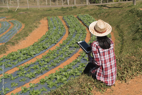 Female farmer checking quality of tea farm with tablet and using application for support smart farm  © only_kim