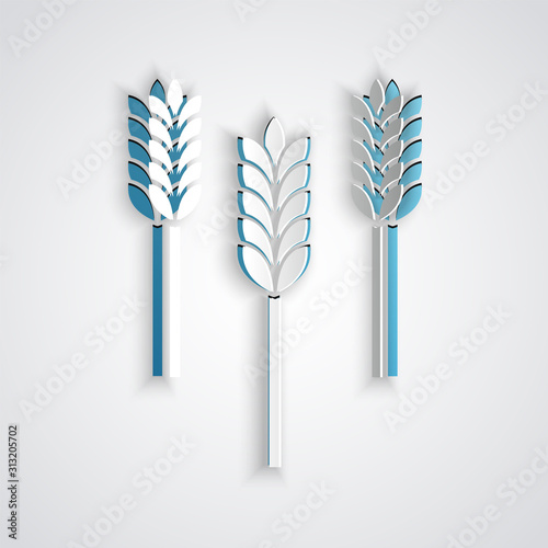 Paper cut Cereals set with rice, wheat, corn, oats, rye, barley icon isolated on grey background. Ears of wheat bread symbols. Paper art style. Vector Illustration