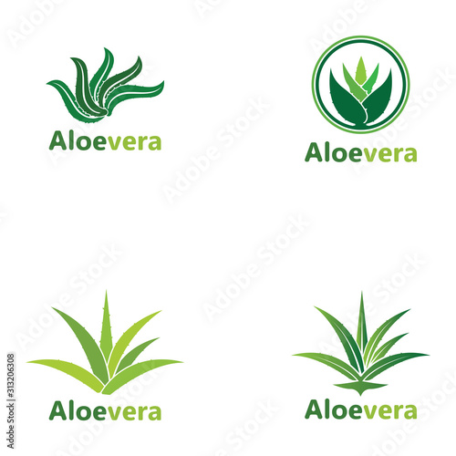 Set Aloe vera logo vector illustration template