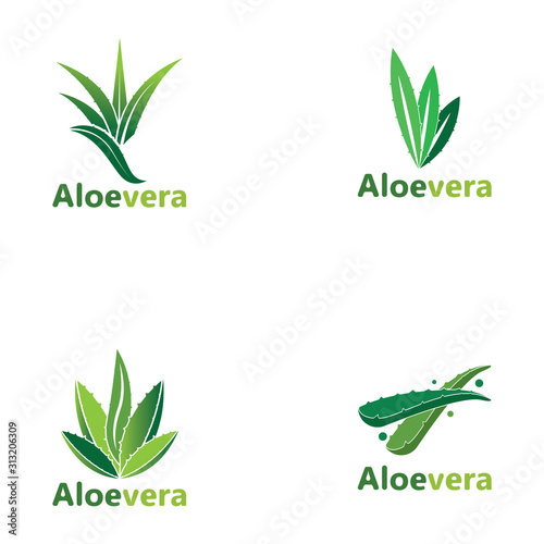 Set Aloe vera logo vector illustration template