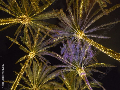 Silhouettes of palm trees wrapped with white lights. White lights hanging from top creating patterns shot in night sky. Concepts of tropical vacations, Christmas celebration and touristic lifestyles