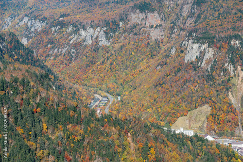 Aerial view, Autumn season over mountain jungle, Hokkaido Japan