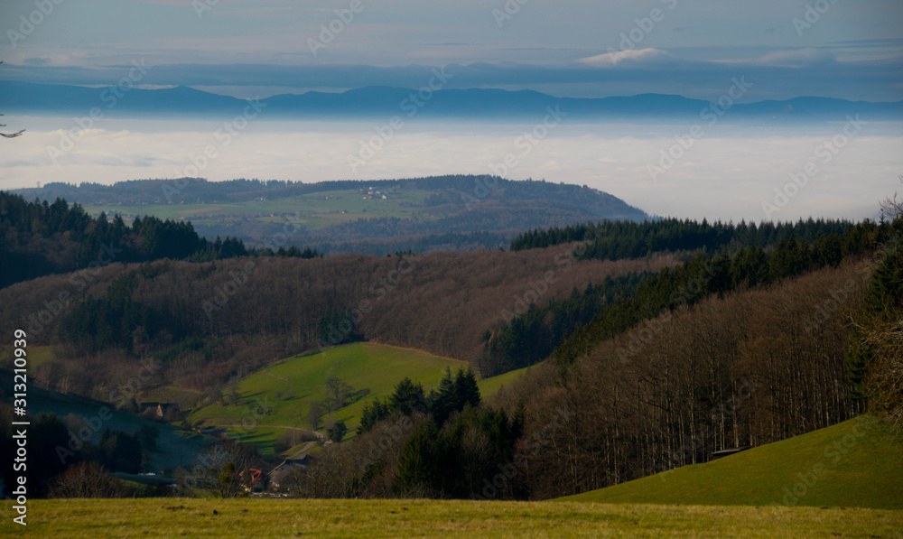 Blick vom Hünersedelturm in Freiamt in die Rheinebene und den Schwarzwald