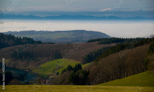 Blick vom Hünersedelturm in Freiamt in die Rheinebene und den Schwarzwald © Tanja Voigt 
