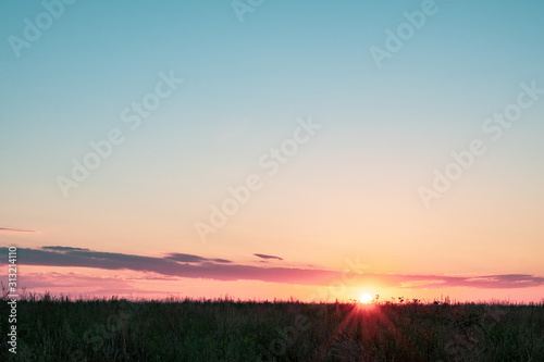 Fototapeta Naklejka Na Ścianę i Meble -  sunset on the field view through the grass dry on the horizon the sky and a small cloud