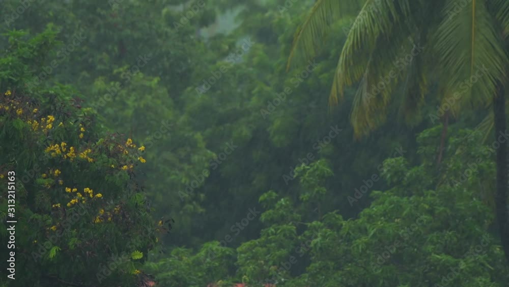 rain green tree background rainy day drops heavy nature rain green tree background rainy day drops heavy nature