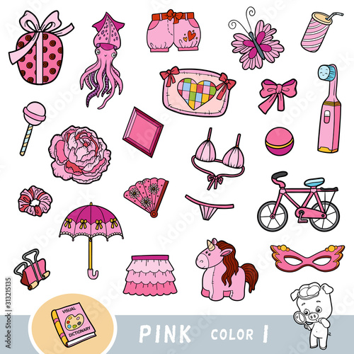 Colorful set of pink color objects. Visual dictionary for children about the basic colors