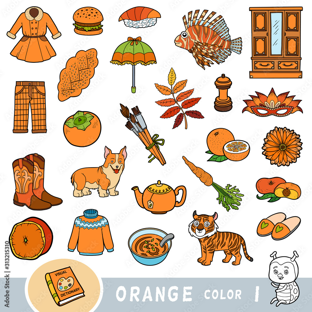Colorful Set Of Orange Color Objects Visual Dictionary For Children
