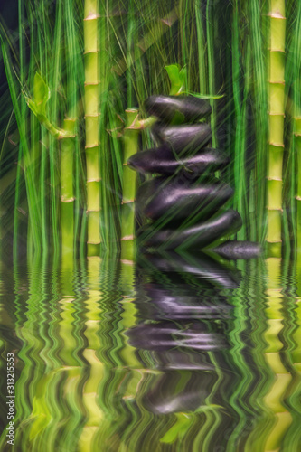 Bambus mit abstrakten Reflektionen