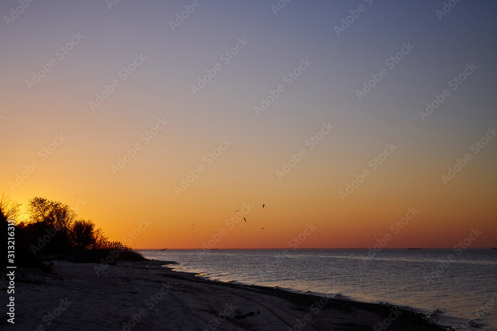 Fototapeta premium Sunset beach horizon sea ocean yellow orange purple blue sky and birds