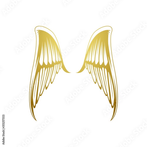 gold eagle wings vector logo template
