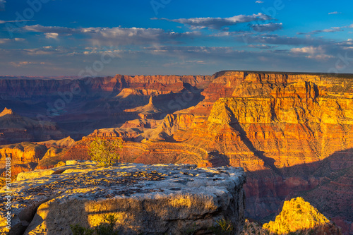 Trees on the edge of the Grand Canyon, Arizona, USA.