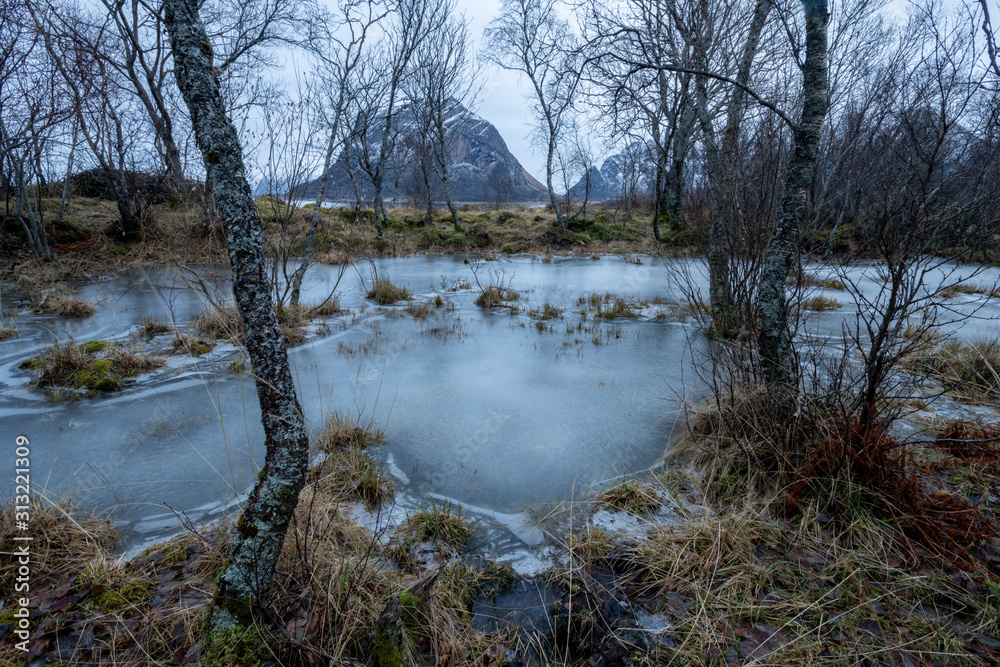 Φωτογραφία Eislandschaft im Moor, Winter auf Engeløya im Fylke Nordland von Norwegen