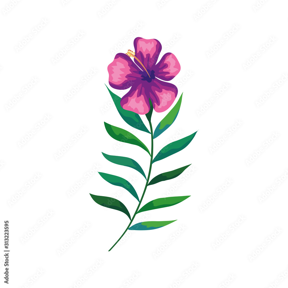 flower natural with branch and leafs flower natural with branch and leafs