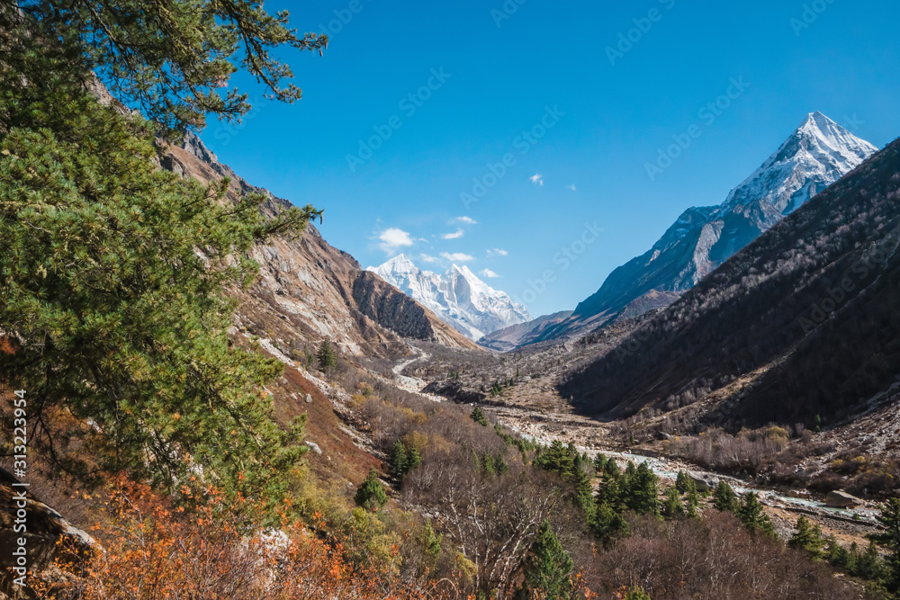 Gangotri National Sanctuary, Uttarakhand, View of the Bhagirathi group in the background with the river Bhagirathi running down the valley