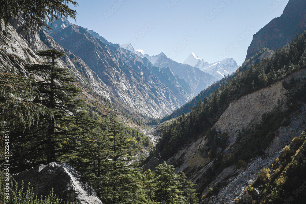 Fototapeta premium Gangotri National Sanctuary, Uttarakhand, India, vast mountain ranges with snow covered peaks and autumn coloured trees in the foreground