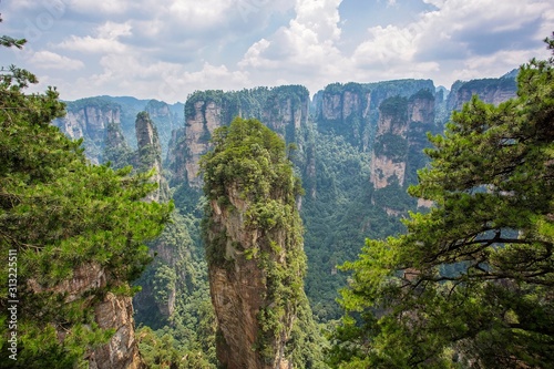  Top view of amazing natural quartz sandstone pillars of fantastic shapes among green woods in the Tianzi Mountains Avatar Mountains  the Zhangjiajie National Forest Park  Hunan Province  China.