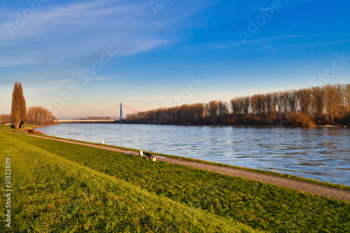 View on Rhine river with dike in Speyer with rhine bridge in background