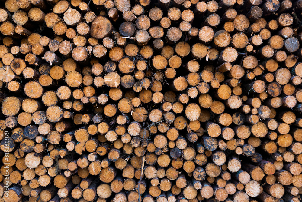 Pile of firewood stacked for the winter. Natural background. Pile of firewood stacked for the winter. Natural background.