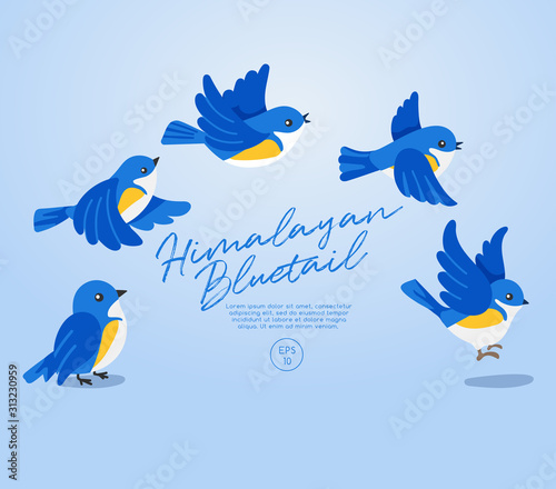 Flying birds collection isolated on pastel background : Vector Illustration