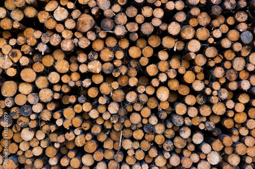 Pile of firewood stacked for the winter. Natural background.