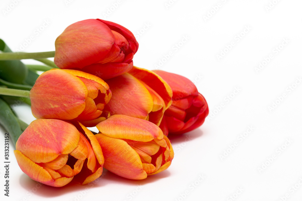 Bouquet of red tulips isolated on white background. Top view. Close-up. Bouquet of red tulips isolated on white background. Top view. Close-up.