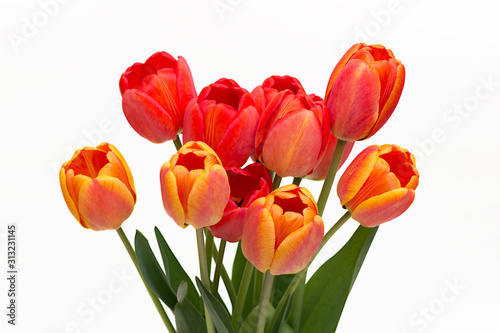 Fototapeta Naklejka Na Ścianę i Meble -  Bouquet of red tulips isolated on white background. Top view. Close-up.