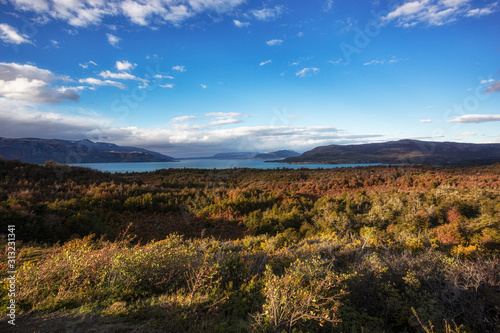 Park Narodowy Torres del Paine, Patagonia, Chile