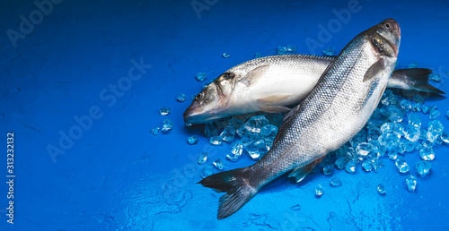 Canvas Print Seabass fish on ice on blue color background, top view
