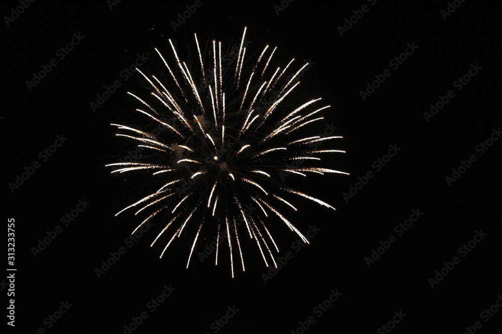 Fireworks in the night Fireworks in the night