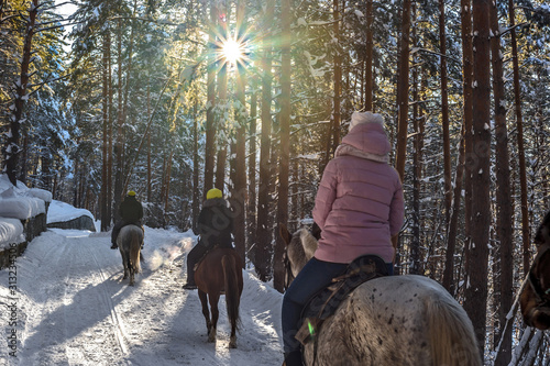 horse riding in winter in the forest