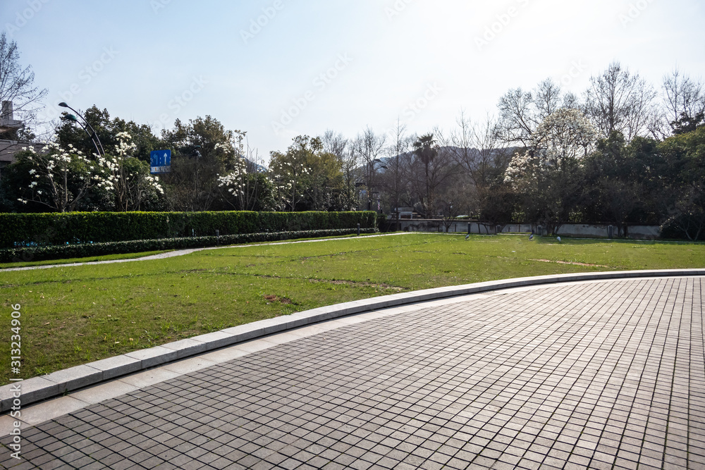 Fototapeta premium road in park