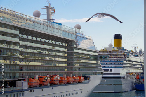 Seagull flies past two modern huge cruise ship liners Celebrity Reflection and Costa Favolosa in port with blue sky and sun reflection in glass and windows photo