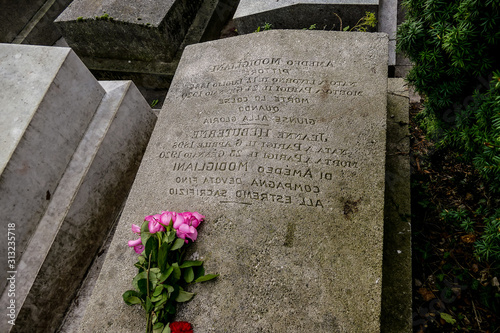 Cimetiere du Pere Lachaise typical french cemetery, Photo image a Beautiful panoramic view of Paris Metropolitan City photo