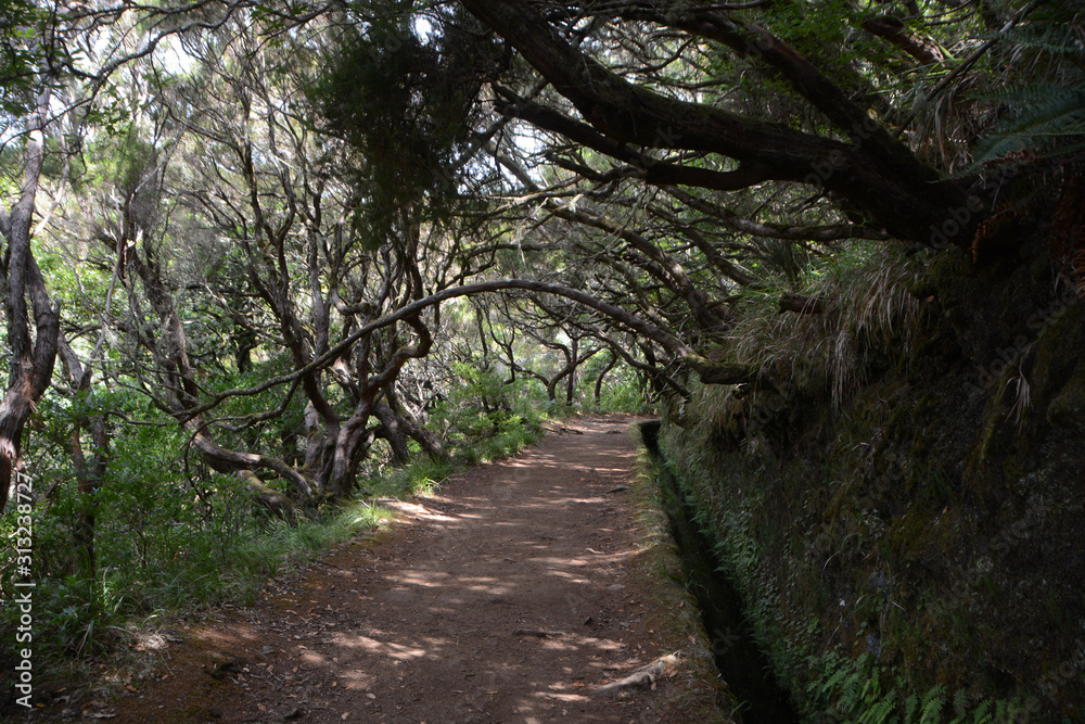 visiting the waterfalls and levadas of Madeira, Portugal visiting the waterfalls and levadas of Madeira, Portugal