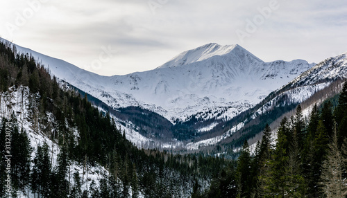 Fototapeta Naklejka Na Ścianę i Meble -  View of the winter landscape with the dominant Bystra peak, which it is the highest mountain in the Western Tatras in Slovakia, near the Polish border.