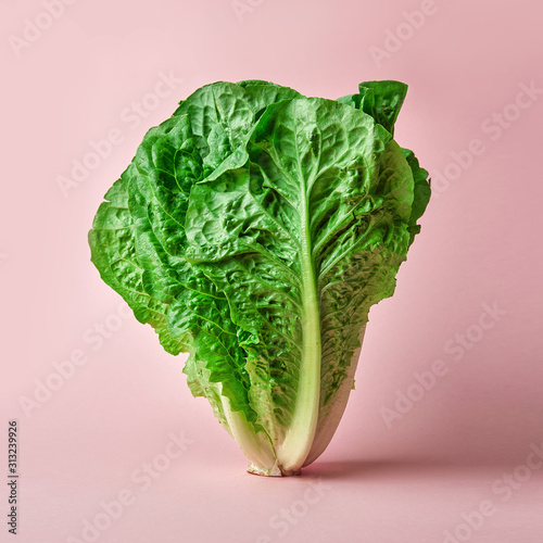 Romano salad on colored background. Textured salad romano on madern pink background isolated photo