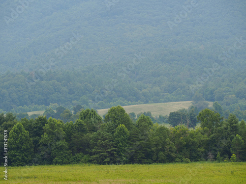 Mountain Valley Cades Cove Field and Trees