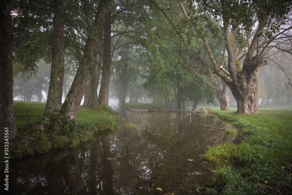 cours d'eau par temps de brouillard