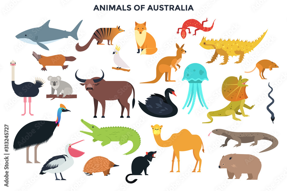 Fototapeta premium Modern Infographic Template