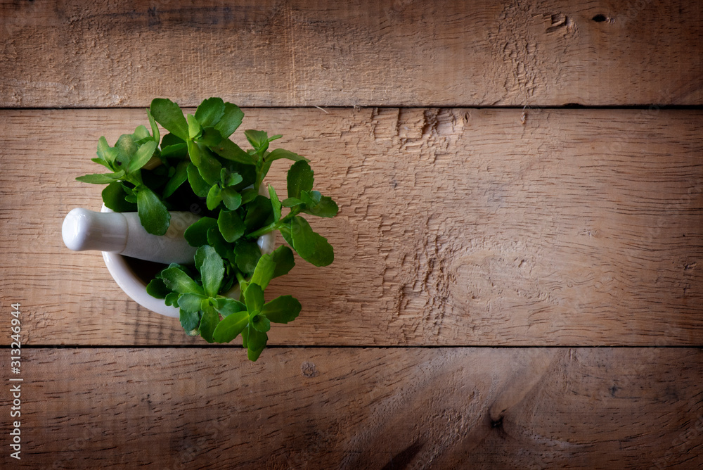 Alternative medicine herb , mortar, laboratory glassware, on a wooden background. Alternative medicine herb , mortar, laboratory glassware, on a wooden background.