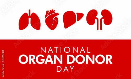 Vector illustration on the theme of National Organ Donor Day on February 14th.