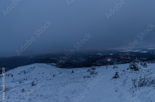 Bukowe berdo zimą Bieszczady  © wedrownik52