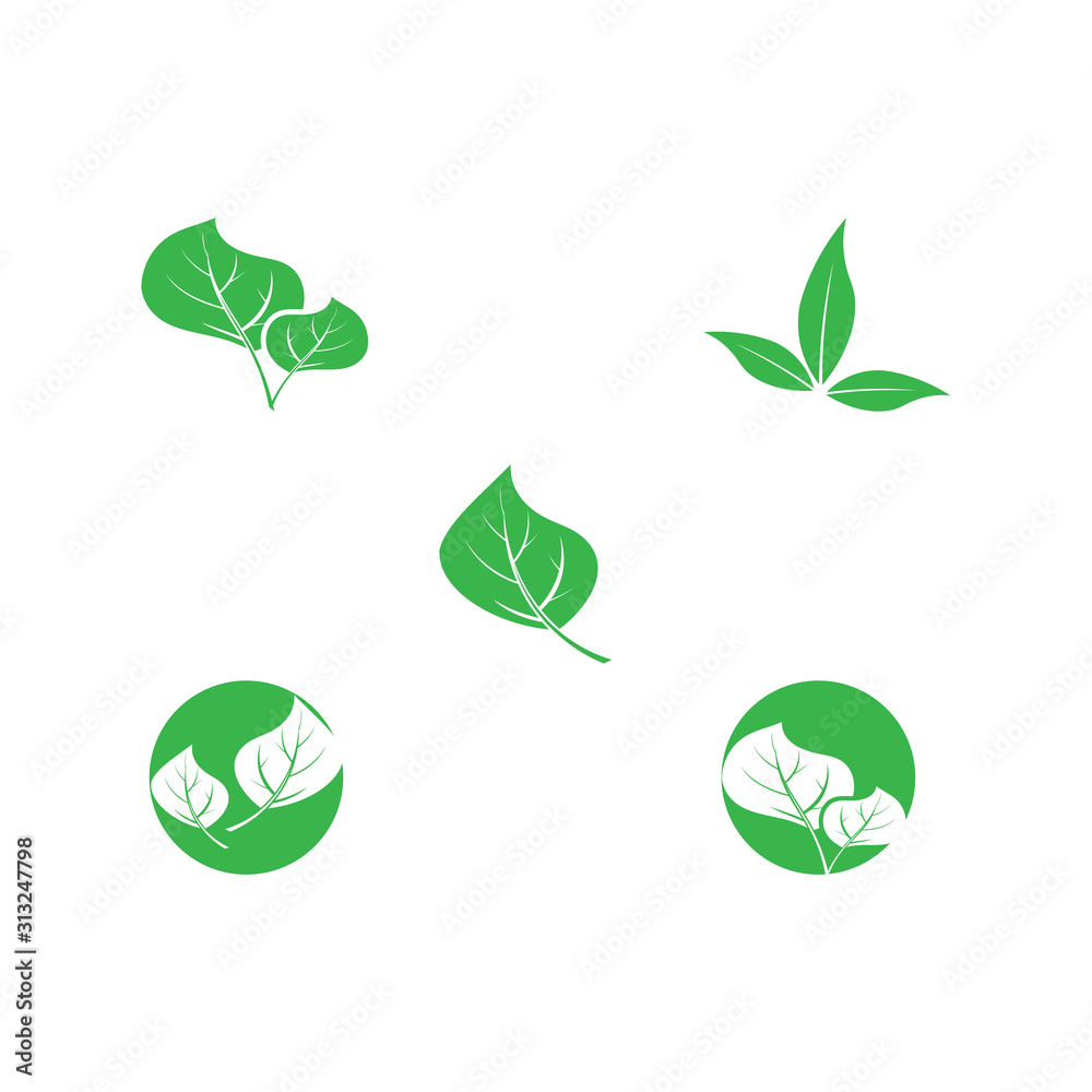 Set Vegan Logo Template vector symbol Set Vegan Logo Template vector symbol