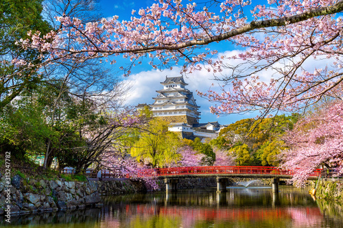 Cherry blossoms and castle in Himeji, Japan. photo